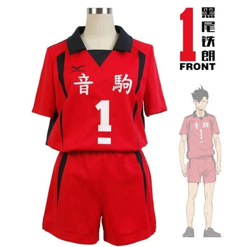 Haikyuu Jersey & Shorts Cosplay Outfit