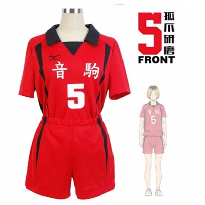 Haikyuu Jersey & Shorts Cosplay Outfit